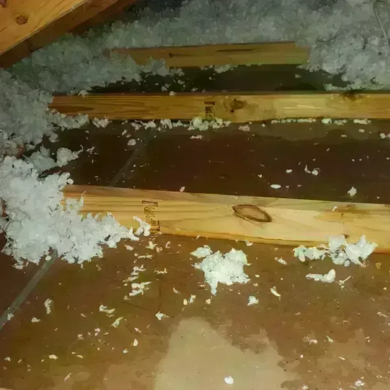 Attic Water Damage in Julian, CA