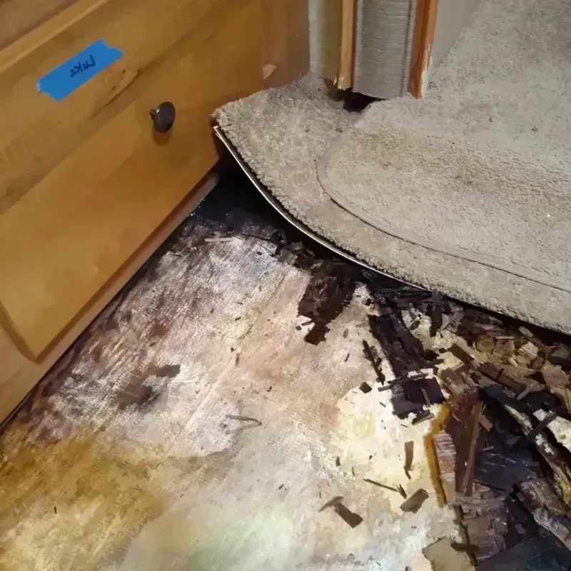 Best Wood Floor Water Damage Service in Julian, CA